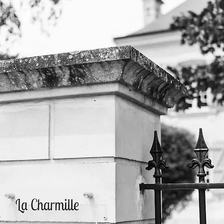 Vakantiehuis La Charmille - Grande Maison Bourgeoise, 35 Kms Du Futuroscope