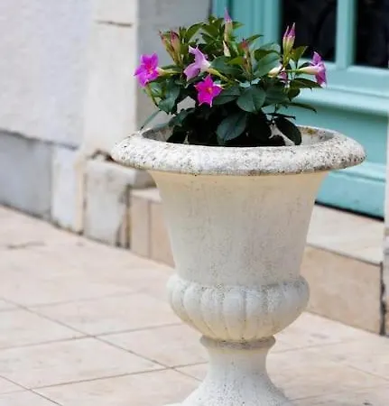 Vakantiehuis La Charmille - Grande Maison Bourgeoise, 35 Kms Du Futuroscope