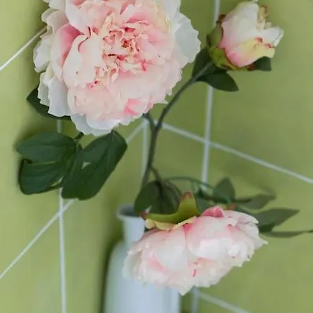 Vakantiehuis La Charmille - Grande Maison Bourgeoise, 35 Kms Du Futuroscope