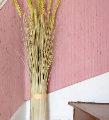 別荘 La Charmille - Grande Maison Bourgeoise, 35 Kms Du Futuroscope