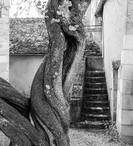 別荘 La Charmille - Grande Maison Bourgeoise, 35 Kms Du Futuroscope