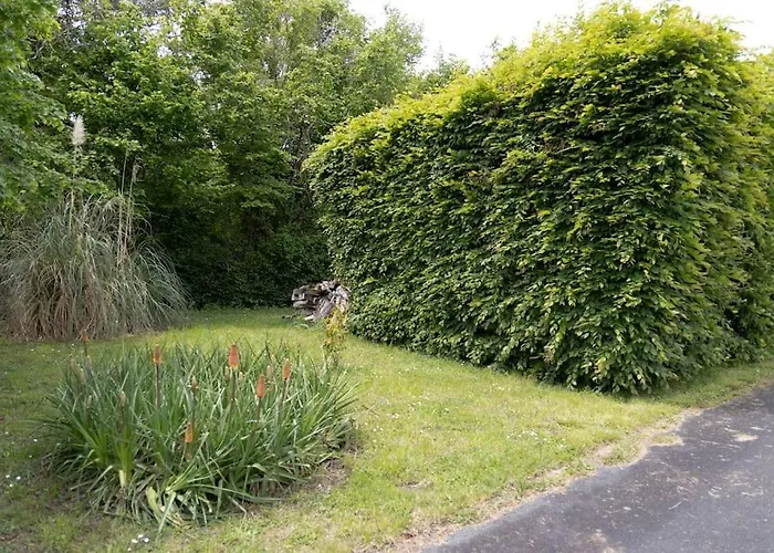 別荘 La Charmille - Grande Maison Bourgeoise, 35 Kms Du Futuroscope La Puye