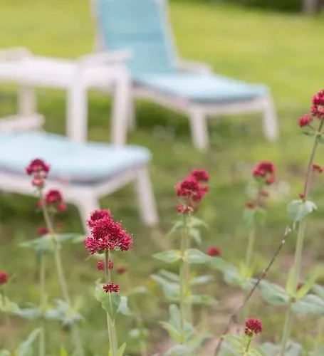 別荘 La Charmille - Grande Maison Bourgeoise, 35 Kms Du Futuroscope