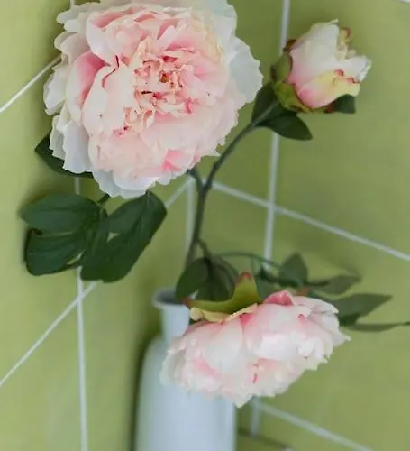 別荘 La Charmille - Grande Maison Bourgeoise, 35 Kms Du Futuroscope